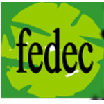 Foundation for Environment and Development in Cameroon