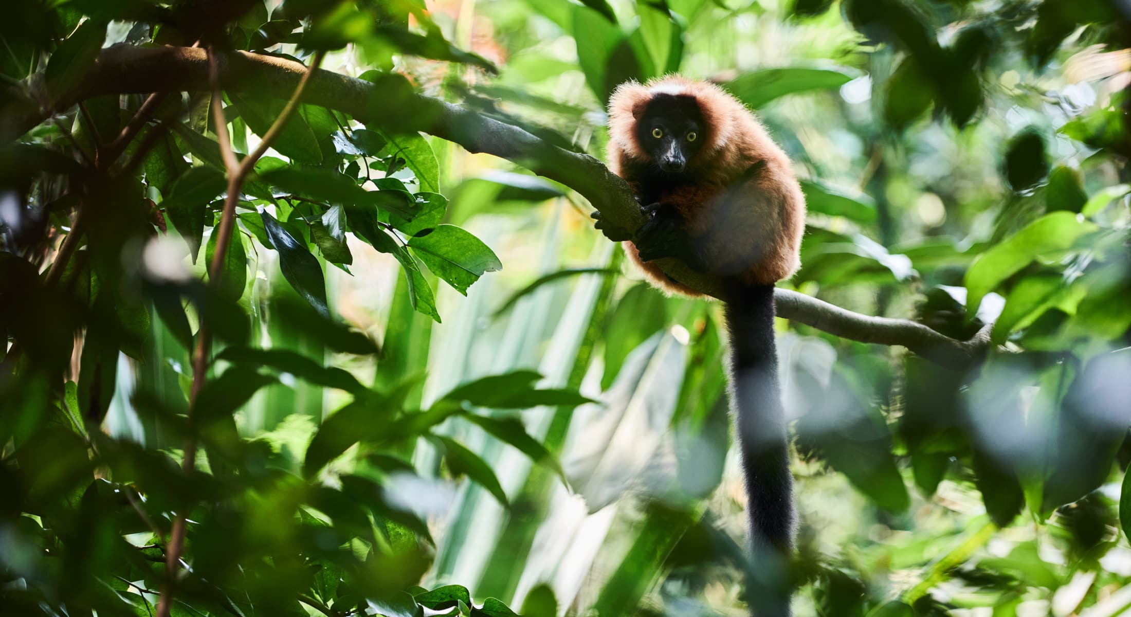 Zoo Zurich 