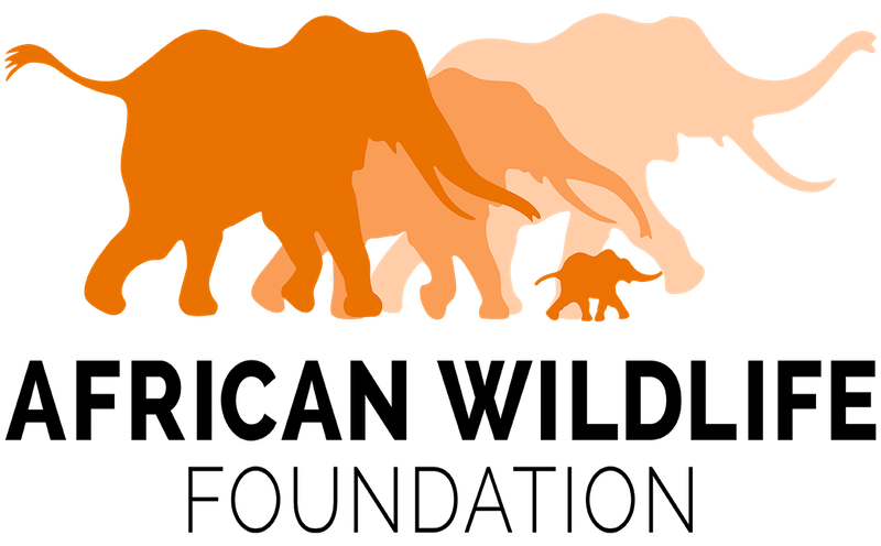 African Wildlife Foundation