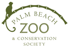 Palm Beach Zoo & Conservation Society