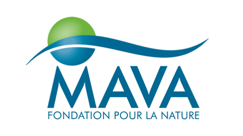 MAVA Foundation