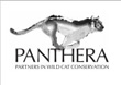 Panthera Foundation