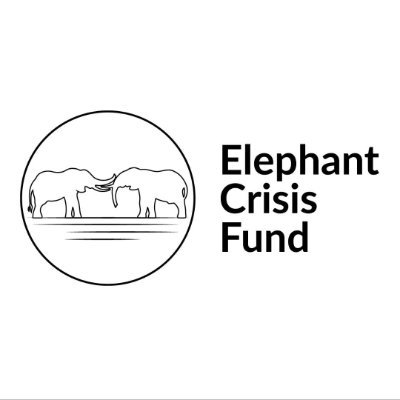 Elephant Crisis Fund