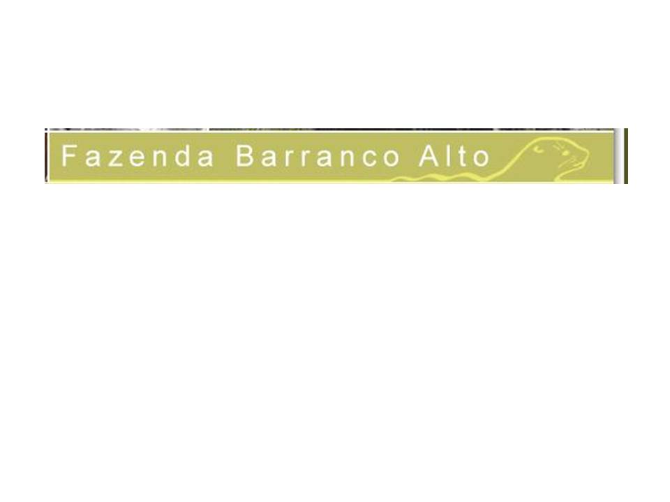 Fazenda Barranco Alto