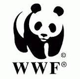 World Wide Fund for Nature