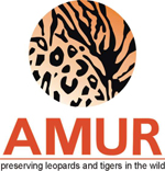 AMUR