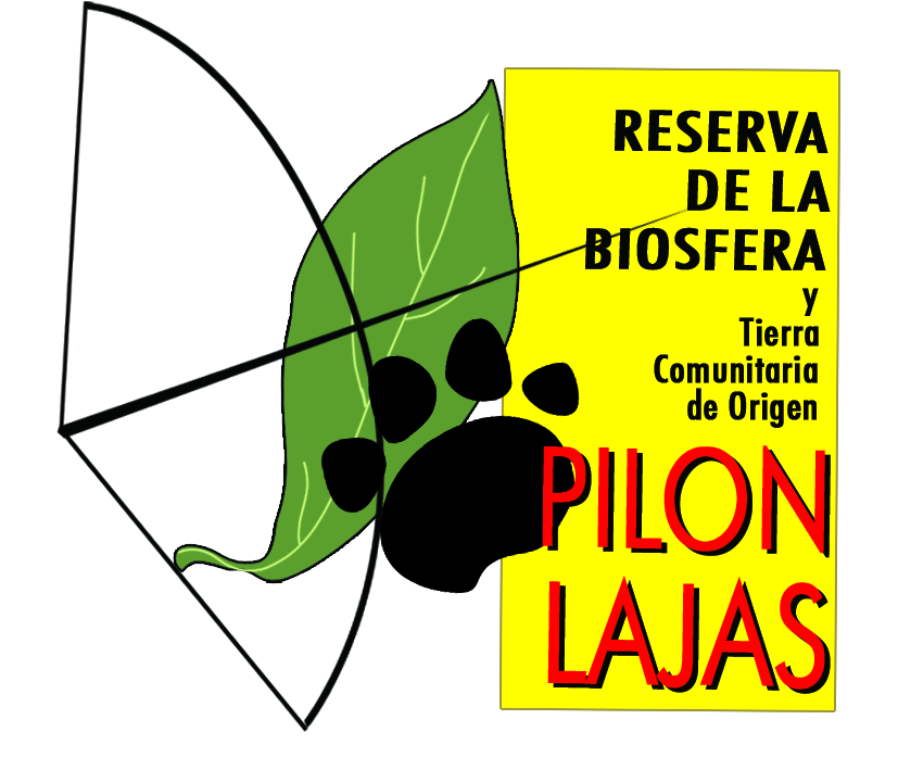 Reserva de la Biosfera y Tierra Comunitaria de Origen Pilón Lajas, Bolivia