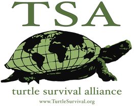 Turtle Survival Alliance