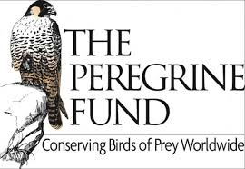 The Peregrine Fund