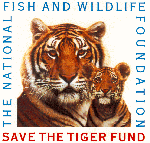 National Fish and Wildlife Foundation’s Save the Tiger Fund